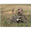 Image 2 : ALBERTA MINISTER’S SPECIAL MULE DEER PERMIT