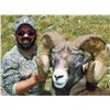 Image 8 : TAOS PUEBLO ROCKY MOUNTAIN BIGHORN SHEEP PERMIT