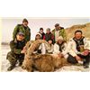 Image 2 : 7-DAY IBEX HUNT IN KYRGYZSTAN FOR 1 HUNTER