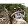 Image 2 : 4-DAY MOUNTAIN HUNT IN NE SPAIN, WINE TASTING & SIGHTSEEING AROUND BARCELONA, SPAIN FOR 2 HUNTERS AN