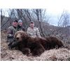 Image 4 : 10 TO 12-DAY KODIAK ISLAND BROWN BEAR HUNT FOR 1 HUNTER