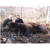 Image 5 : 10 TO 12-DAY KODIAK ISLAND BROWN BEAR HUNT FOR 1 HUNTER