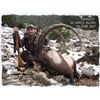 Image 2 : 3-DAY SINDH IBEX (ANY SIZE) HUNT IN PAKISTAN FOR 1 HUNTER