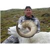 10-DAY DALL’S SHEEP HUNT FOR 1 HUNTER