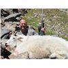Image 2 : COLORADO ROCKY MOUNTAIN GOAT LICENSE