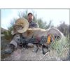 Image 2 : CALIFORNIA DESERT BIGHORN SHEEP PERMIT (Open-Zone Tag)