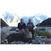 Image 3 : 5-DAY BULL TAHR HUNT FOR 1 HUNTER & 1 NON-HUNTER
