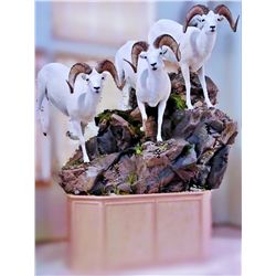 CUSTOM LIFE-SIZE SHEEP MOUNT