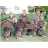 Image 2 : UP TO 6 PERSON/2-DAY EASTERN WILD TURKEY HUNT IN KANSAS