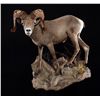 Image 2 : LIFE-SIZE SHEEP WALL MOUNT