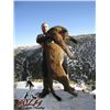 5-DAY MOUNTAIN LION HUNT IN UTAH FOR 1 HUNTER