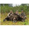 Image 2 : 10-DAY SPRING BROWN BEAR HUNT IN ALASKA FOR 1 HUNTER