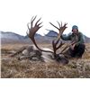 Image 1 : 5-DAY ALASKAN CARIBOU HUNT FOR 1 HUNTER