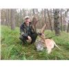 Image 2 : 5-DAY FALLOW DEER AND UP TO 320 SCI RED STAG HUNT IN AUSTRIA FOR 2 HUNTERS (Trophy fee included)