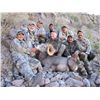 Image 3 : DESERT BIGHORN SHEEP PERMIT & HUNT EL VIZCAINO BIOSPHERE RESERVE, BAJA CALIFORNIA SUR, MEXICO