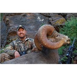 DESERT BIGHORN SHEEP PERMIT