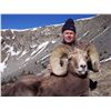 Image 4 : TAOS PUEBLO ROCKY MOUNTAIN BIGHORN SHEEP PERMIT