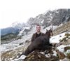Image 2 : 4-DAY UNIQUE EUROPEAN ALPINE IBEX (Up to 165 CIC Points) AND  ALPINE CHAMOIS (Up to 100 CIC Points)