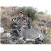 5-DAY TROPHY ARIZONA COUES/WHITETAIL DEER HUNT FOR 4 HUNTERS WITH  DIAMOND OUTFITTERS OF ARIZONA