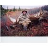 Image 2 : 10-DAY ALASKA-YUKON MOOSE FOR 1 HUNTER