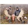 Image 5 : 10-DAY ALASKA-YUKON MOOSE FOR 1 HUNTER