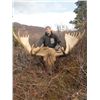 Image 8 : 10-DAY ALASKA-YUKON MOOSE FOR 1 HUNTER