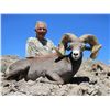 Image 3 : STATE OF NEVADA NELSON DESERT BIGHORN SHEEP TAG