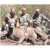 Image 1 : IDAHO BIGHORN SHEEP PERMIT - INCLUDING HUNT AREA 11 HELLS CANYON