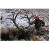 Image 2 : 2015 WYOMING GAME & FISH COMMISSIONER’S BULL ELK TAG OUTFITTED WITH A 7-DAY HUNT FOR 1 HUNTER - TRAI
