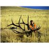 Image 4 : 2015 WYOMING GAME & FISH COMMISSIONER’S BULL ELK TAG OUTFITTED WITH A 7-DAY HUNT FOR 1 HUNTER - TRAI