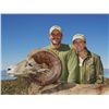Image 4 : CARMEN ISLAND,  MEXICO,  DESERT BIGHORN SHEEP PERMIT