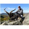 Image 2 : $10,000 CREDIT TOWARDS TROPHY FEES FOR 2 HUNTERS ON A TAILOR MADE HUNT IN SPAIN FOR A MINIUMUM OF 2