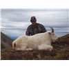 Image 2 : 8-DAY MOUNTAIN GOAT HUNT FOR 1 HUNTER