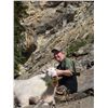 Image 3 : 8-DAY MOUNTAIN GOAT HUNT FOR 1 HUNTER