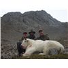 Image 4 : 8-DAY MOUNTAIN GOAT HUNT FOR 1 HUNTER