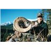 Image 2 : 15-DAY ROCKY MOUNTAIN BIGHORN SHEEP AND WOLF HUNT IN ALBERTA FOR 1 HUNTER AND 1 NON-HUNTER