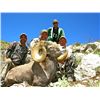 Image 5 : NEW MEXICO DESERT BIGHORN  SHEEP PERMIT