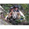 NEW MEXICO ROCKY MOUNTAIN BIGHORN SHEEP PERMIT