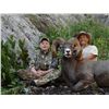 Image 2 : NEW MEXICO ROCKY MOUNTAIN BIGHORN SHEEP PERMIT