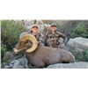 Image 2 : ARMENDARIS RANCH YOUTH DESERT BIGHORN SHEEP HUNT IN NEW MEXICO