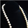 Image 2 : Cultured Pearl Necklace with Diamond Clasp