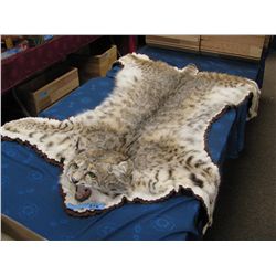 bobcat rug and mount