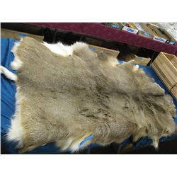 white tail deer hide