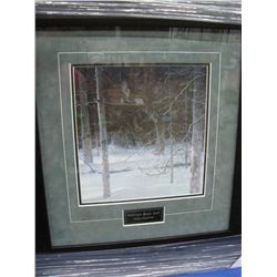 Midnight Black Wolf by Robert Bateman 22x24