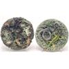 Image 1 : Two Caldas Palissy wall plaques, one with lizard frog and bugs, the other with a lizard and a sna...