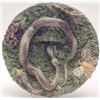 Image 1 : A Caldas Palissy circular wall plaque with a fighting snake and lizard in burrow and 4 bugs, 10in...