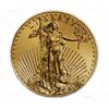 Image 1 : 2009 1 oz Gold American Eagle MS-70 NGC (Early Releases