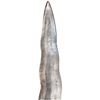 Image 2 : A MORO SPEAR