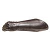 Image 8 : A RARE PAIR OF CONTINENTAL ELBOW GAUNTLETS