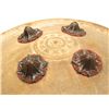 Image 2 : AN INDIAN SHIELD